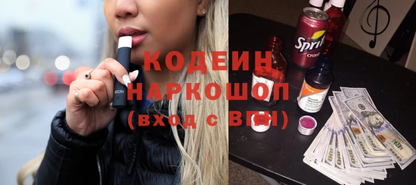 индика Балахна