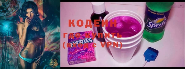 индика Балахна