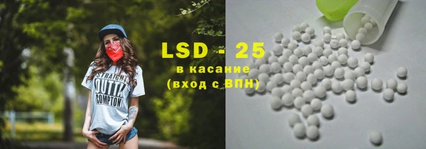 индика Балахна