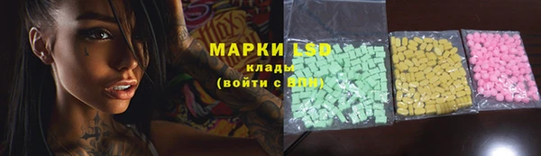 индика Балахна