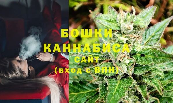 индика Балахна