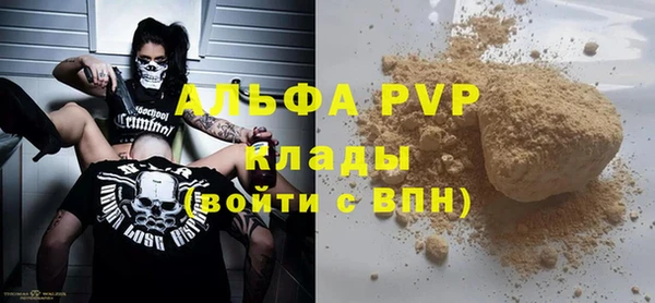 индика Балахна