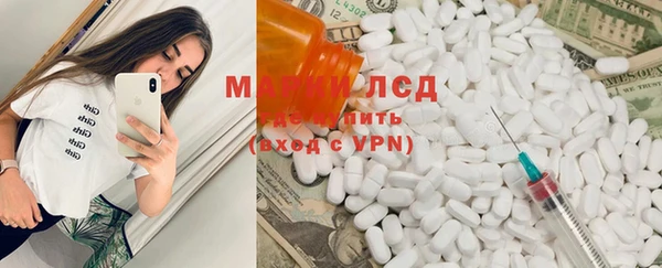индика Балахна
