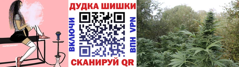 купить наркоту  KRAKEN маркетплейс  дарк нет Telegram  Красный Холм  Канабис Bruce Banner 